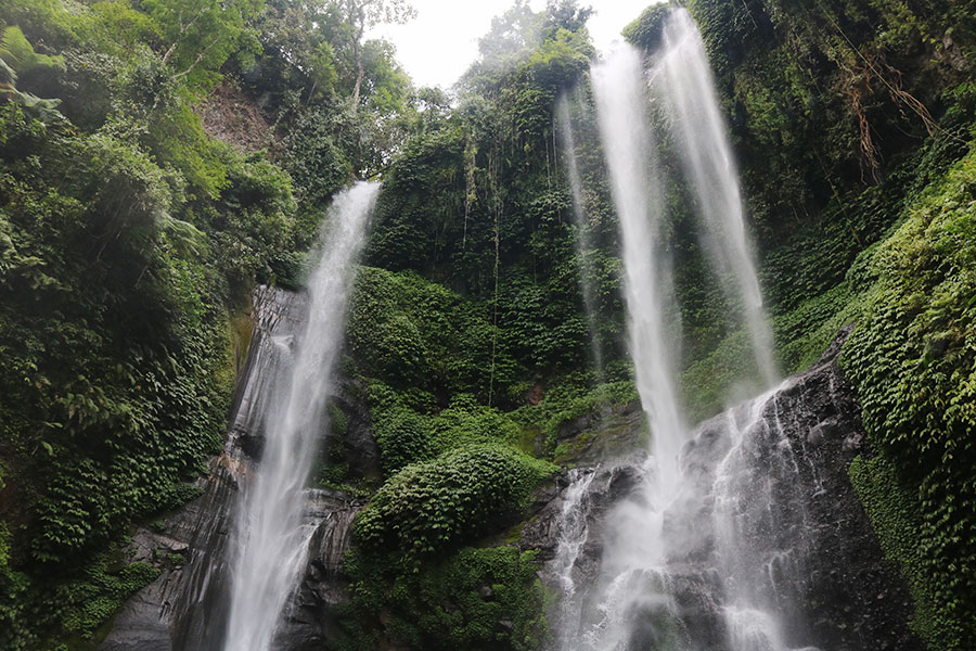 Bali Safest Driver Sekumpul Waterfall