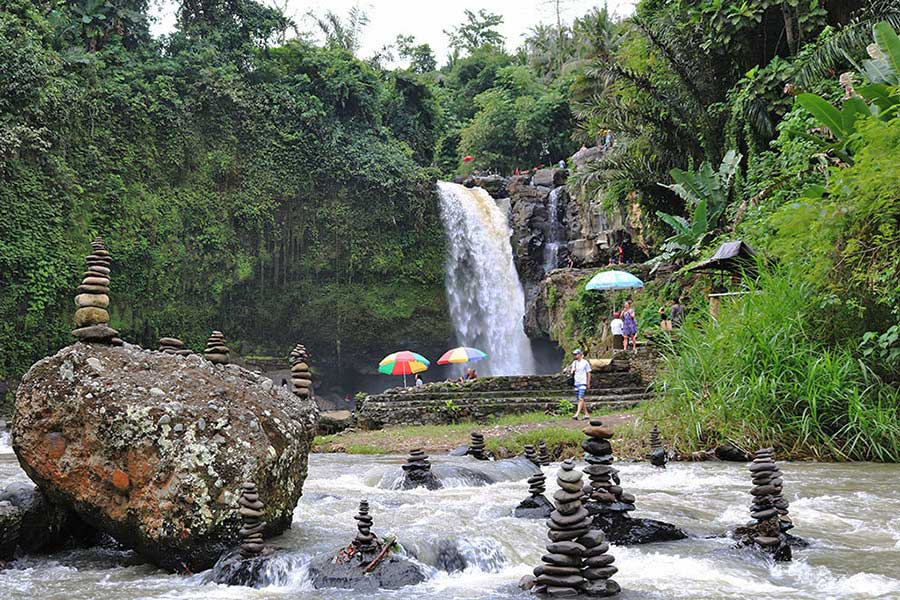 Bali Private Tour Campuhan Tegalalang Swing And Tegenungan