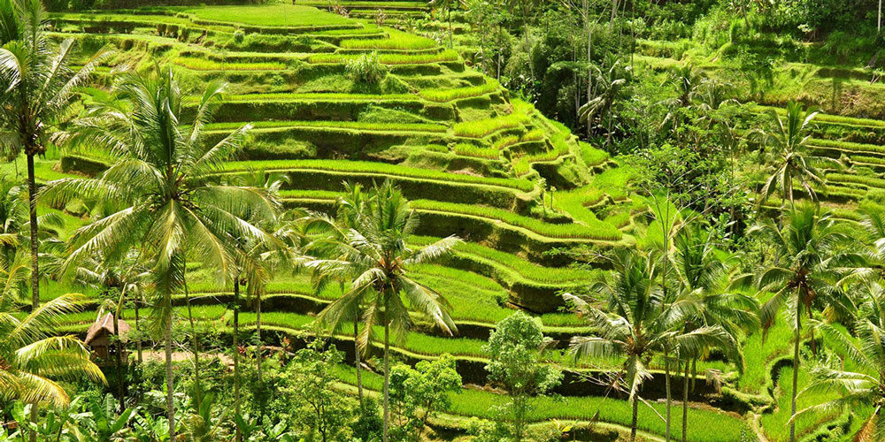 2 Days Bali Private tour