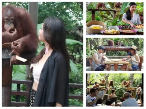 Breakfast with Orangutan at Bali Zoo