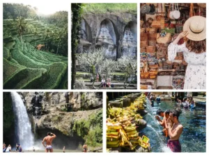 Ubud Tour