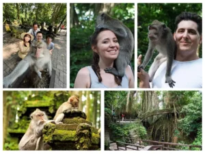 Sacred Monkey Forest Ubud