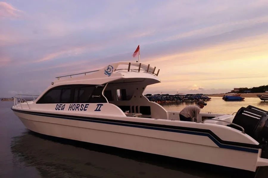 Seahorse II Private Boat Tour Luxury Yacht