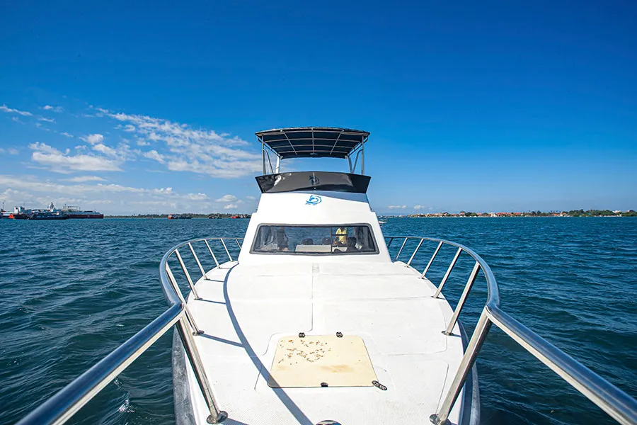 Seahorse Trigger Private Boat Tour Luxury Yacht